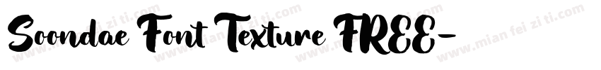 Soondae Font Texture FREE字体转换